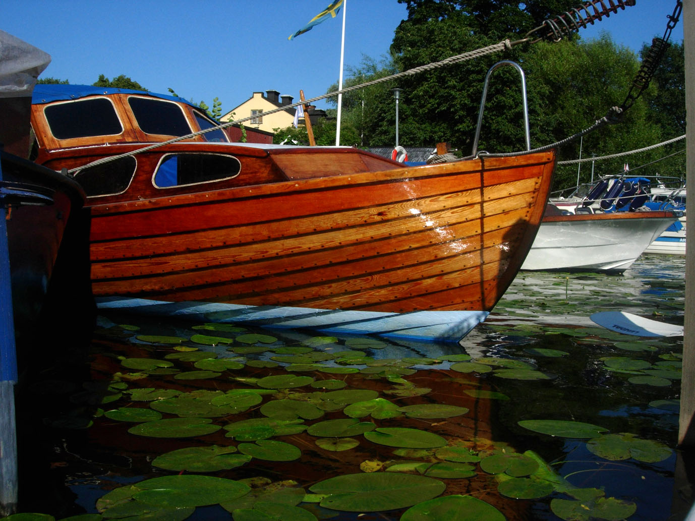 Old Boat Wood