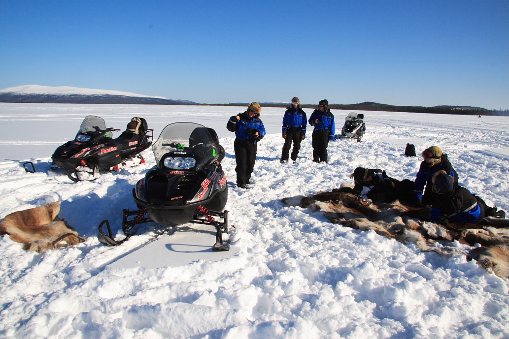 Preparing for an Arctic picnic