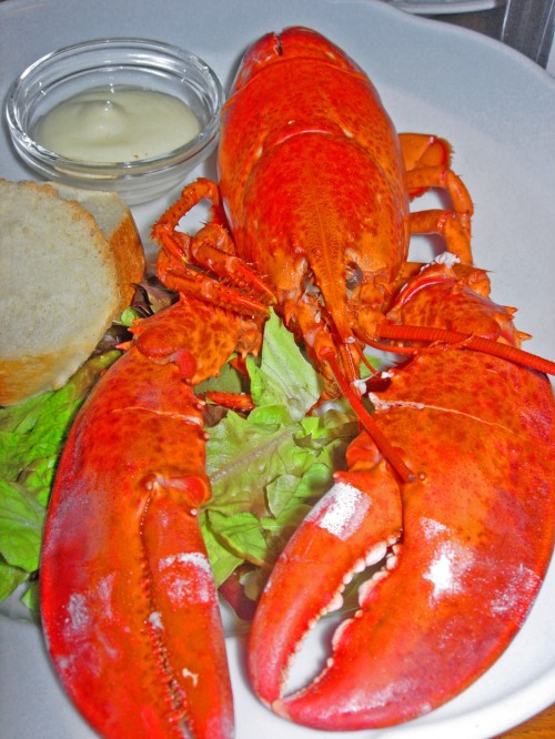 Lobster Wednesday at Patricia. 