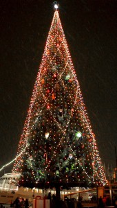 The Christmas tree on Skeppsbron in Gamla Stan.