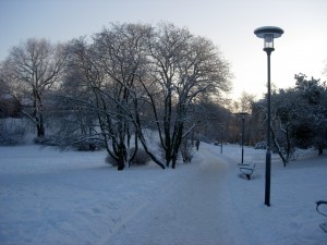 Even the sun could not take the frosty edge out of the air this morning.  