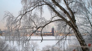 A view toward Stadshuset through the trees.