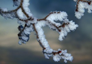 Frost formations.