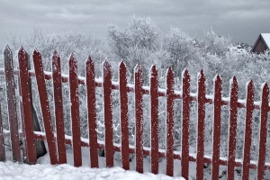 This fence on Södermalm serves as a stark contrast to the wintery white landscape.