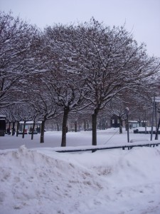 Snow piles in Karlaplan.