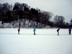Ice skating at Brunsviken.