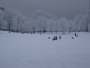 A group of kids from dagis go sled riding at Tantolunden.