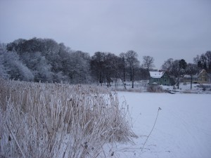 While there is already quite a lot of snow in Stockholm, I am happy to get some more today.