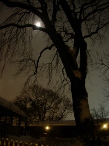 The moon rising over Södermalm.