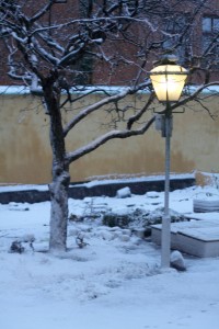 courtyard snow