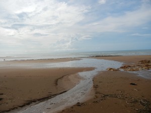 Darwin's beaches