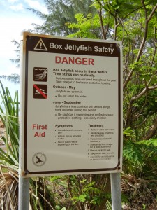 jellyfish danger
