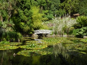 Monet bridge