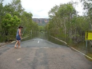 road fishing