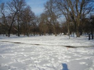 snow in humlegarden