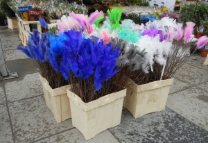 easter feathers