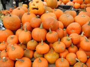 hotorget pumpkins