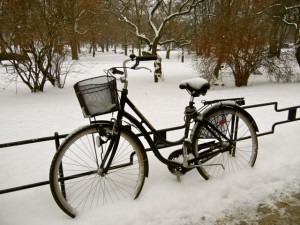 stockholm in winter