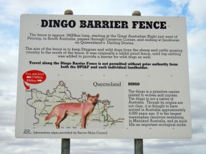 the dog fence