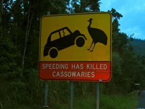 cassowary road sign