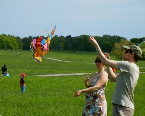 butterfly kite gärdet