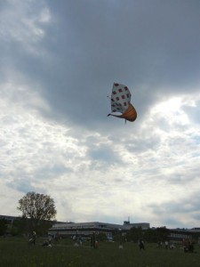 viking ship kite