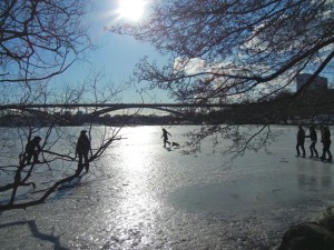 lake malaren in winter